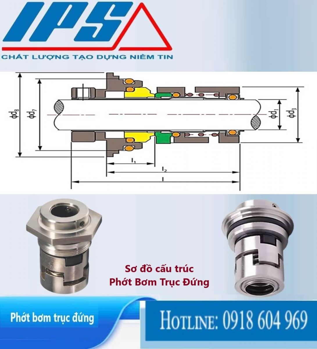 Phớt bơm trục đứng -5(10)